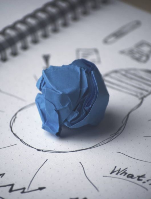 Internet Project Plan (IPP)